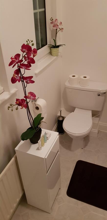 Silver Eagle Bed & Breakfast Dublin Dış mekan fotoğraf